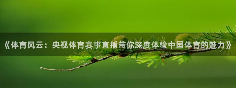袋鼠直播nba：《体育风云：央视体育赛事直播带你深度体验中国体育的魅力》