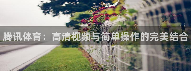 袋鼠在线体育直播：腾讯体育：高清视频与简单操作的完美结合