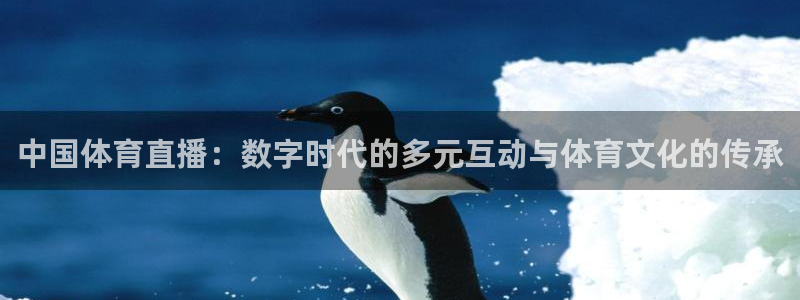 袋鼠直播体育免费观看入口：中国体育直播：数字时代的多元互动与体育文化的传承