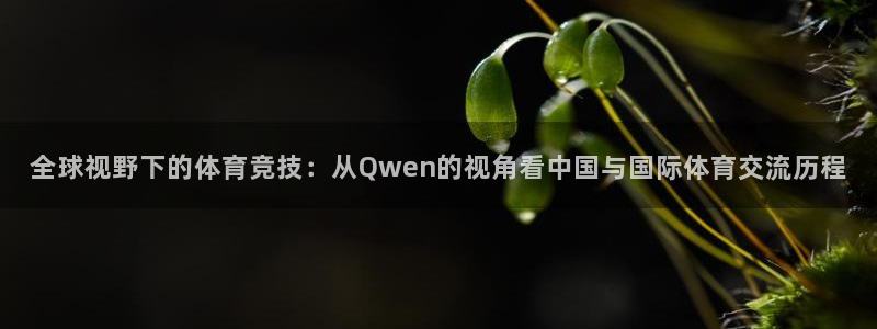 袋鼠在线体育直播：全球视野下的体育竞技：从Qwen的视角看中国与国际体育交流历程