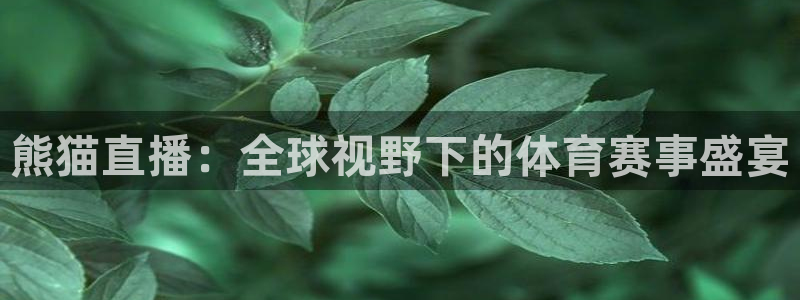 袋鼠体育免费直播：熊猫直播：全球视野下的体育赛事盛宴