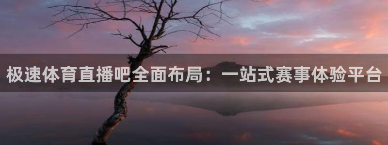 袋鼠直播体育在线直播：极速体育直播吧全面布局：一站式赛事体验平台