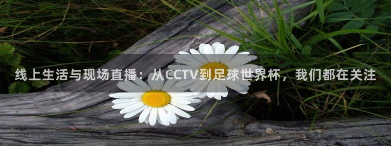 袋鼠在线直播体育：线上生活与现场直播：从CCTV到足球世界杯，我们都在关注