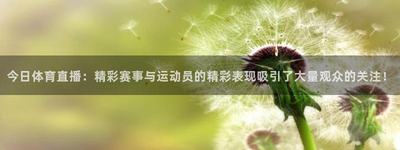 袋鼠直播nba免费观看篮球：今日体育直播：精彩赛事与运动员的精彩表现吸引了大量观众的关注！