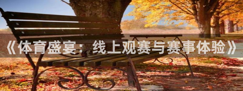 袋鼠体育足球直播：《体育盛宴：线上观赛与赛事体验》