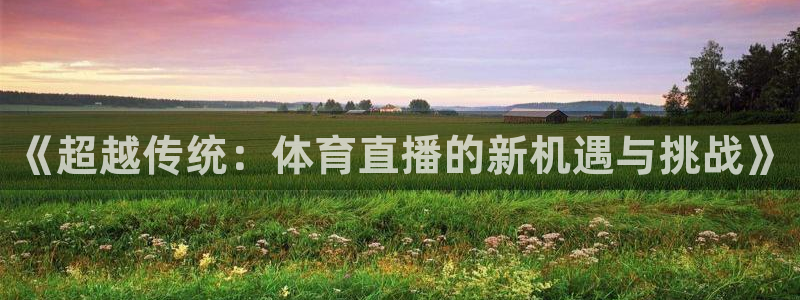 袋鼠直播在线播放：《超越传统：体育直播的新机遇与挑战》