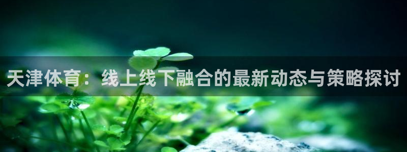 袋鼠体育直播：天津体育：线上线下融合的最新动态与策略探讨