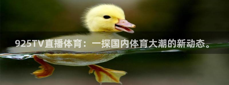 袋鼠足球免费直播：925TV直播体育：一探国内体育大潮的新动态。