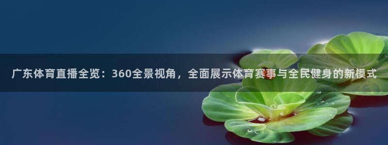 袋鼠直播体育app：广东体育直播全览：360全景视角，全面展示体育赛事与全民健身的新模式