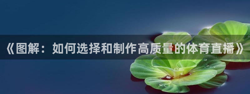 袋鼠在线直播体育：《图解：如何选择和制作高质量的体育直播》